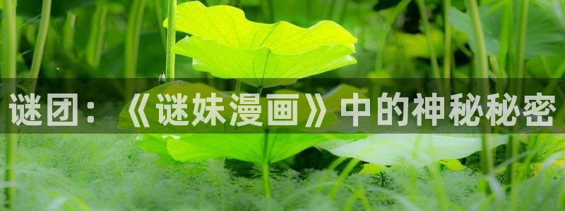 韩漫画免费无删减