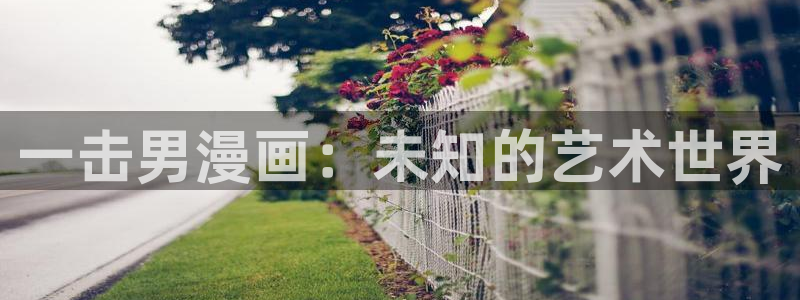 韩漫漫画无删减网站：一击男漫画：未知的艺术世界