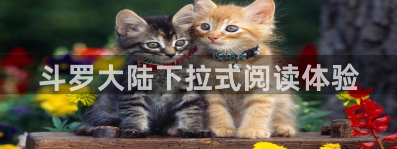 韩漫画在线阅读入口免费：斗罗大陆下拉式阅读体验
