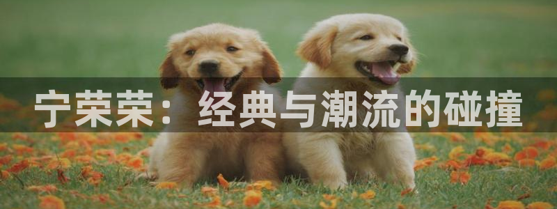 韩漫免费漫画歪歪：宁荣荣：经典与潮流的碰撞