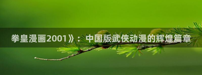 韩漫黄色免费看：拳皇漫画2001》：中国版武侠动漫的辉煌篇章