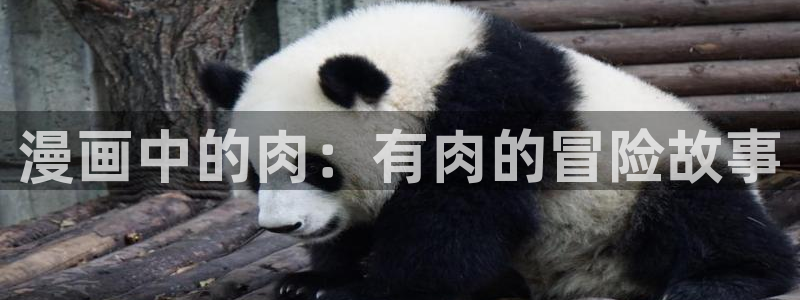 歪歪韩漫免费漫画在线观看