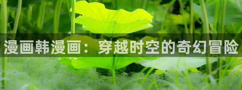 能看韩漫的网址推荐